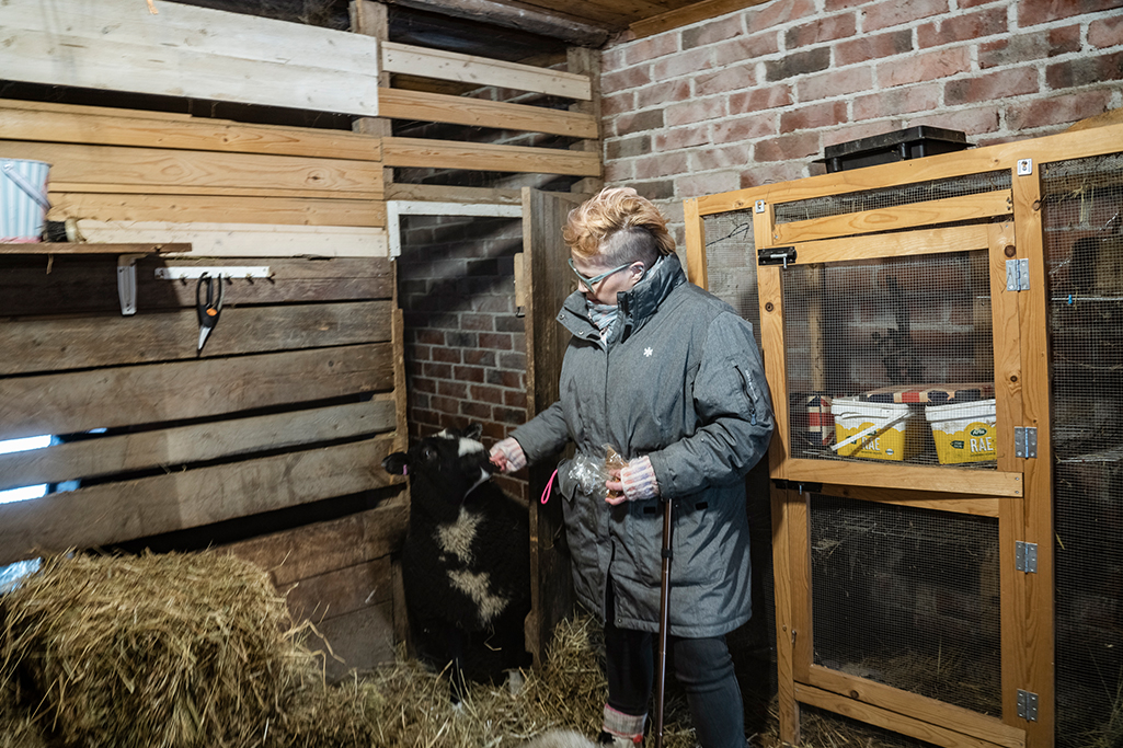 Riikka hoitamassa lammasta.