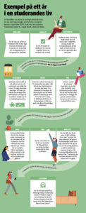 Exempel på ett år i en studerandes liv. Du kan förstora infografiken genom att öppna bilden i en ny flik.