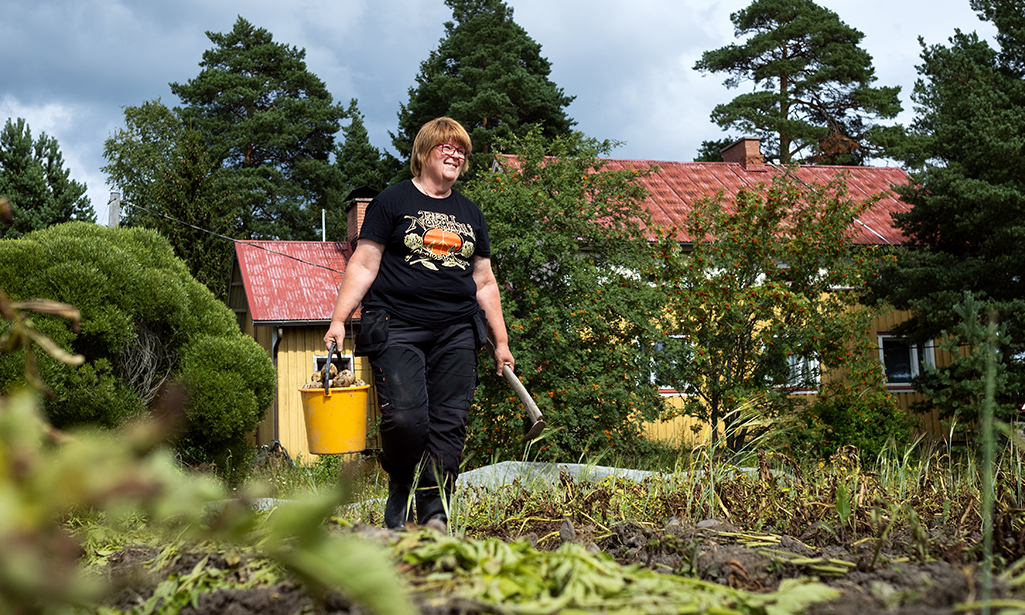 Eeva-Liisa Tuominen nostamassa perunoita.