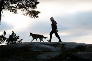 En kvinna promenerar med sin hund.