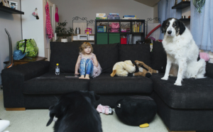 Mira sohvalla perheen kahden koiran kanssa.