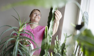 Anne sköter om sina krukväxter.