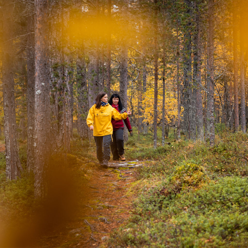 Kaksi henkilöä kävelee syksyisessä metsässä.