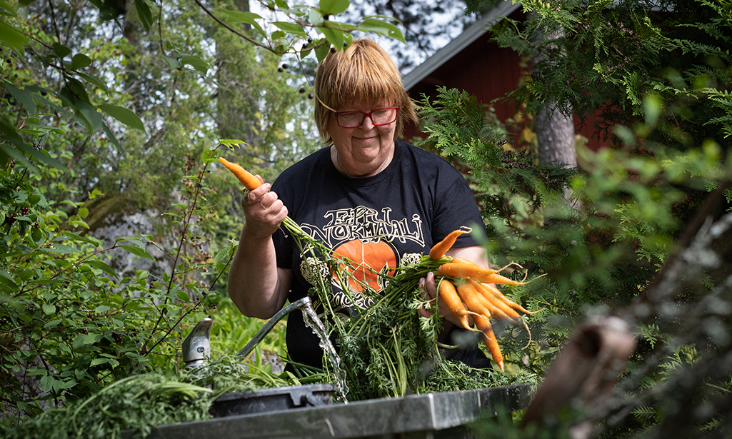 Eeva-Liisa tvättar nyskördade morötter utomhus. 