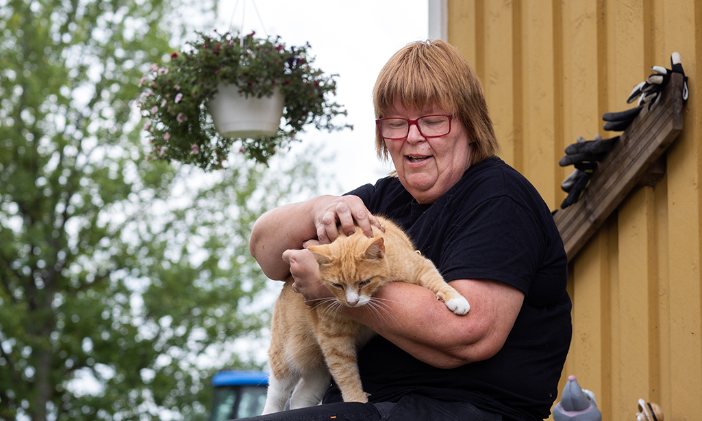 Eeva-Liisalla on oranssinvärinen kissa sylissä ja hän rapsuttaa sitä niskasta. 